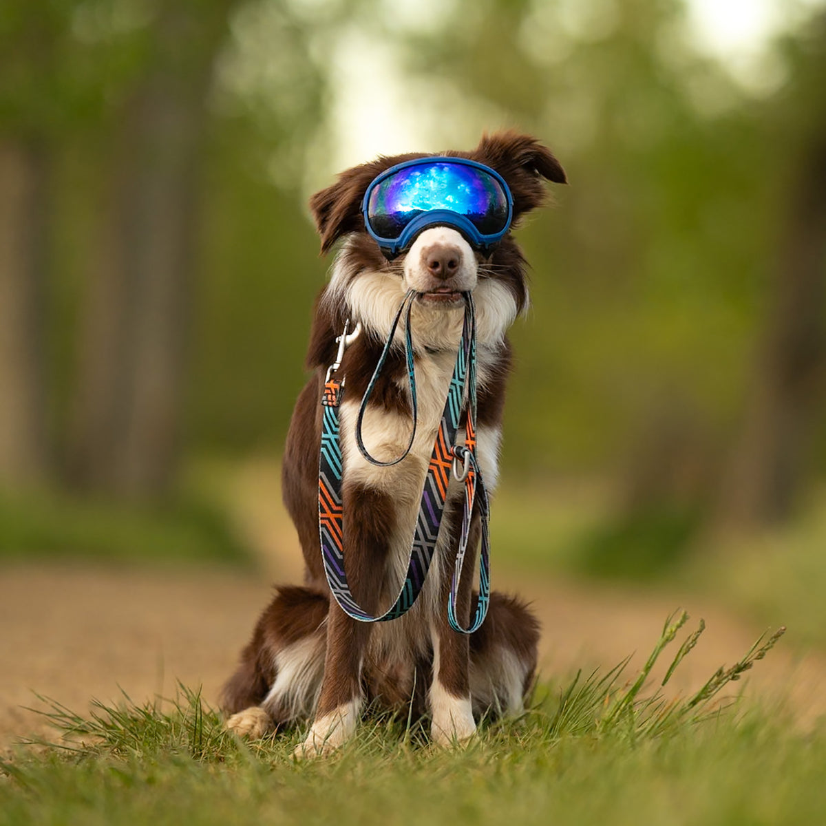 Trails End Leash
