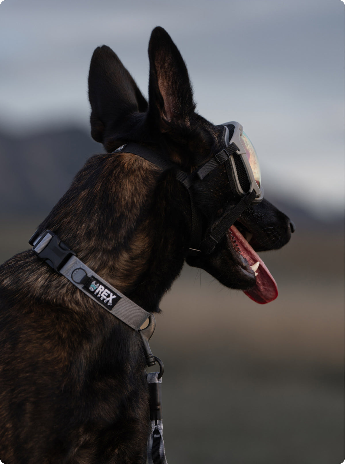 Trailhead Collar