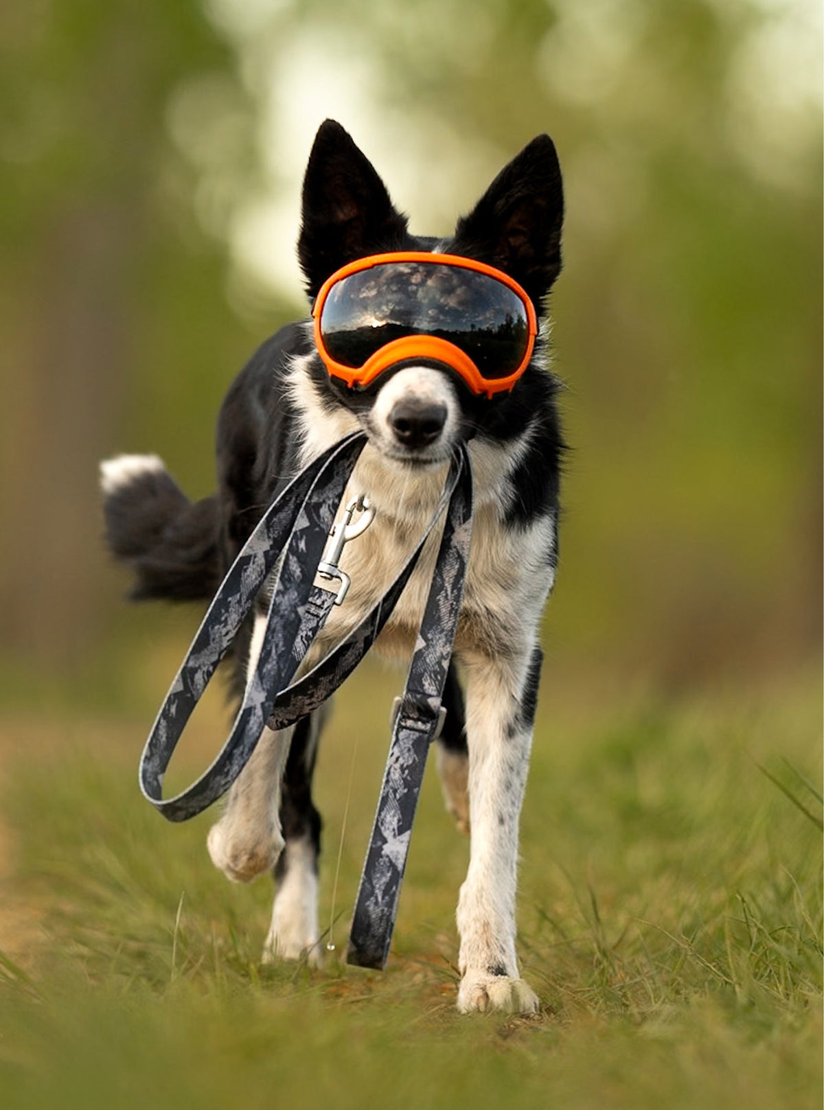 Trails End Leash