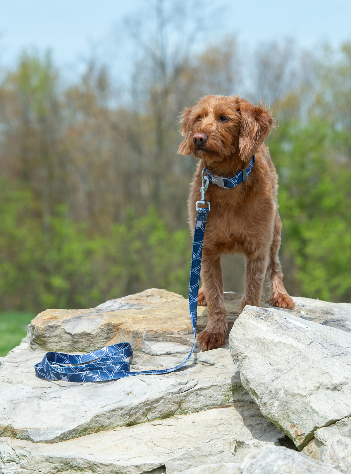 Trails End Leash