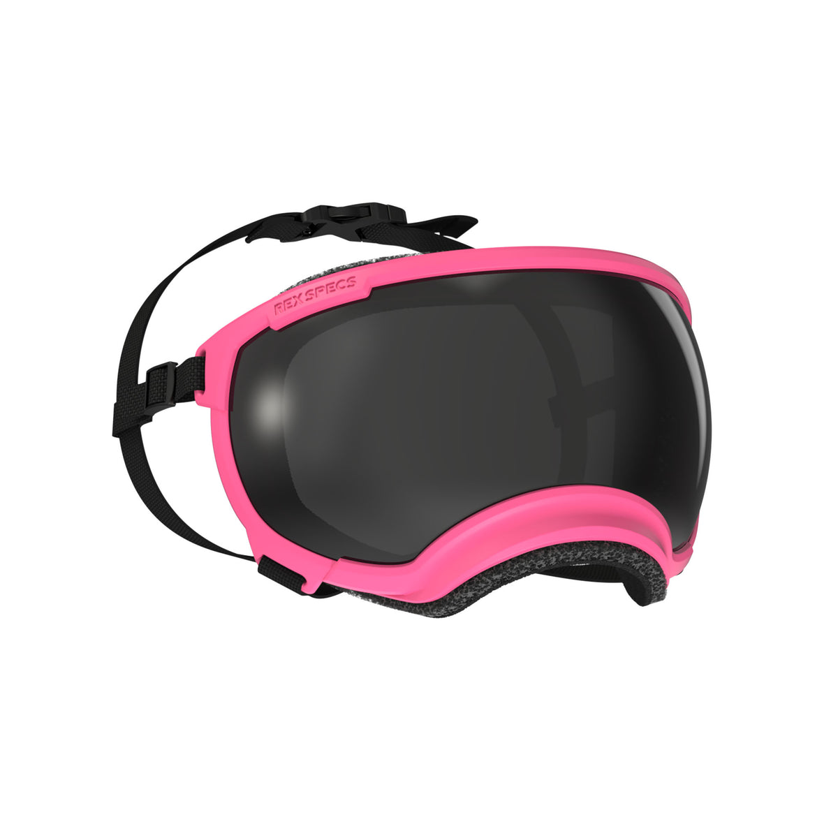 Goggles for Dogs - V2