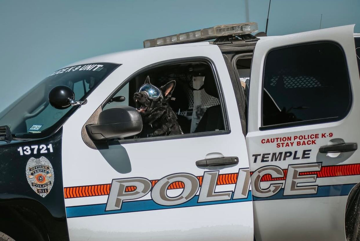 Behind the Badge: Police K9s