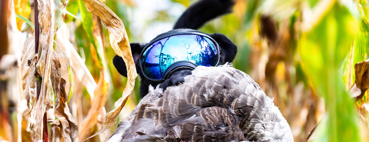 Q&A Corner: Rex Specs Goggles for Hunting