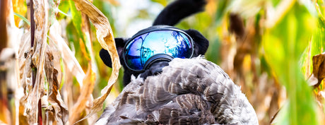 Q&A Corner: Rex Specs Goggles for Hunting