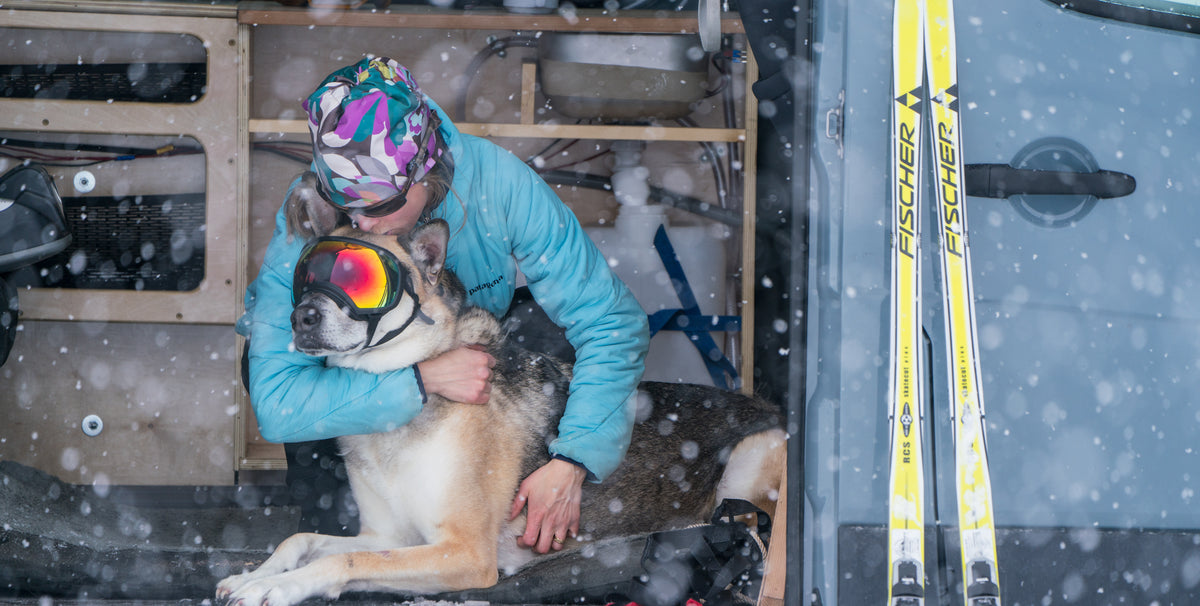 All Adventures Are Better With A Dog By Your Side.