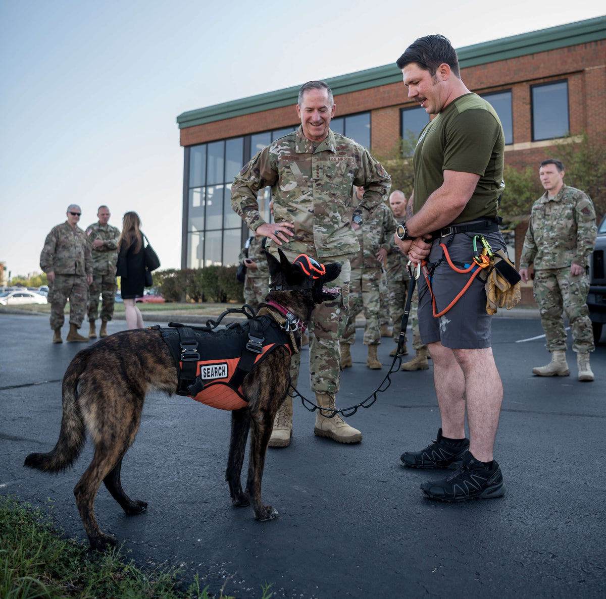 K9 Callie: The Best of the Best