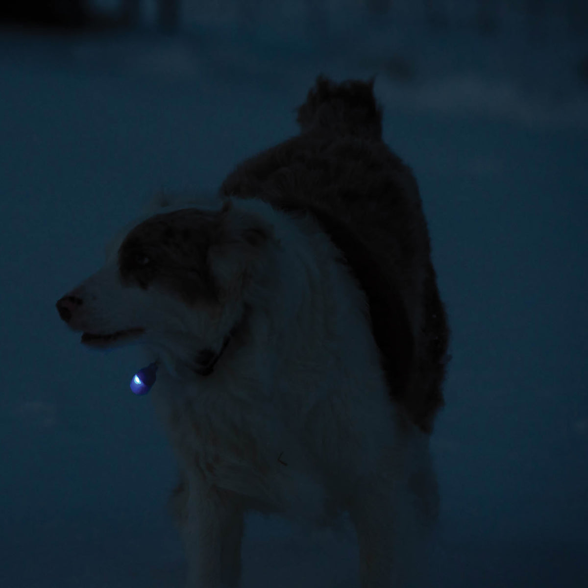 Safety Light