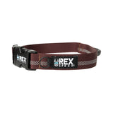 Reflective Trailhead Collar