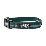 Reflective Trailhead Collar