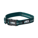 Reflective Trailhead Collar
