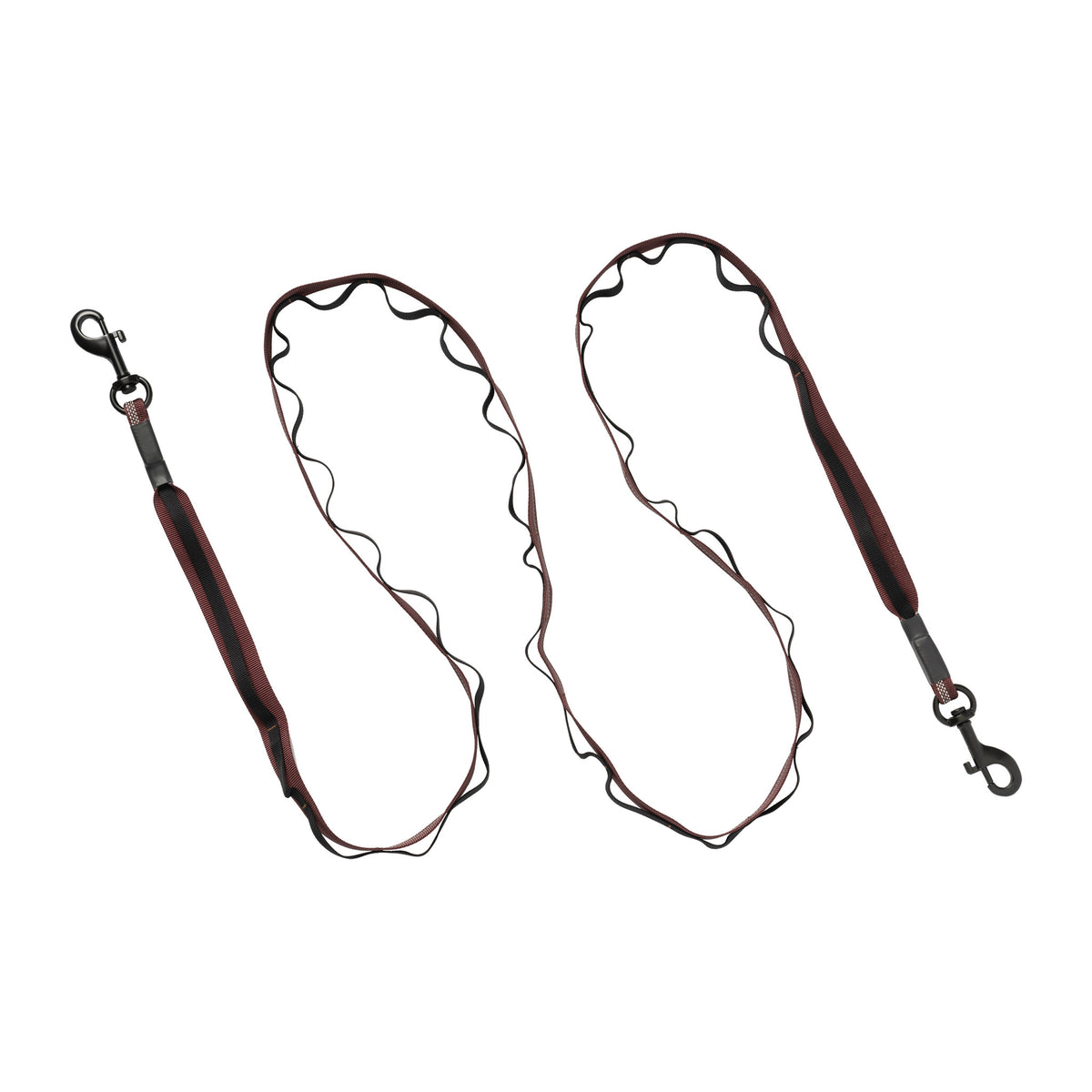 Reflective Trailhead Dual Snap Leash