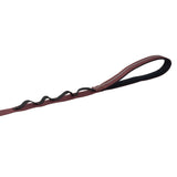Reflective Trailhead Single Snap Leash