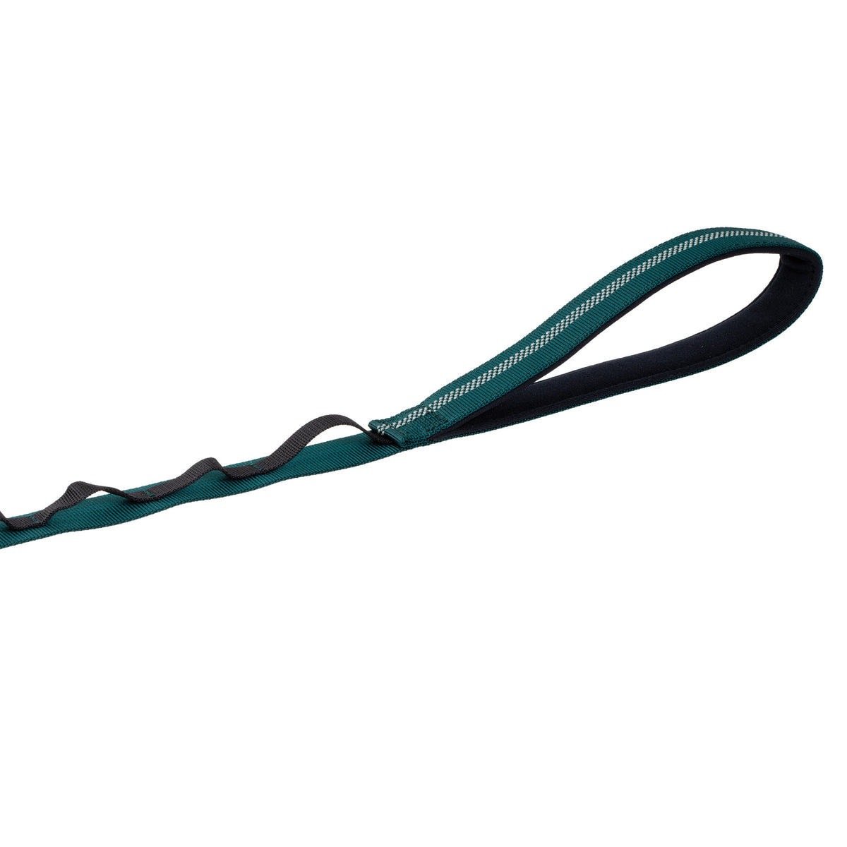 Reflective Trailhead Single Snap Leash