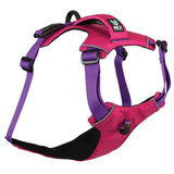Trailhead Dog Harness