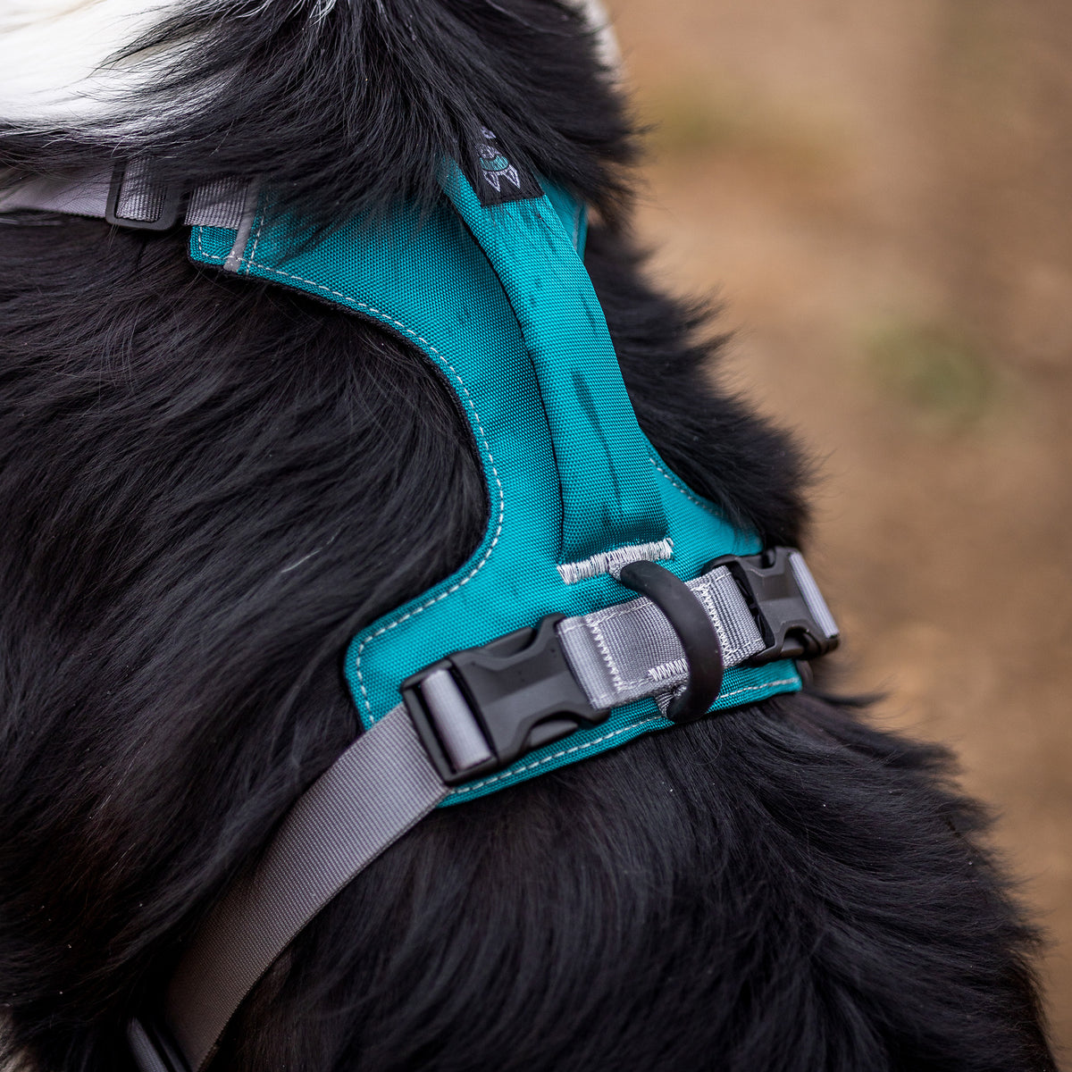 Trailhead Dog Harness