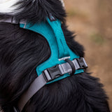 Trailhead Dog Harness