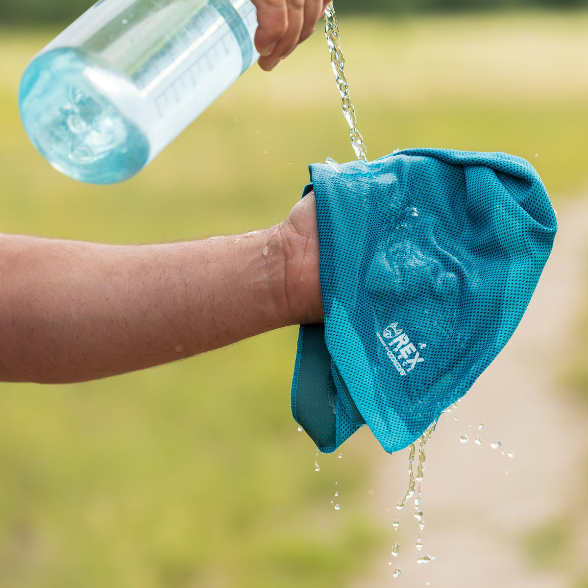 Cooling Dog Bandana