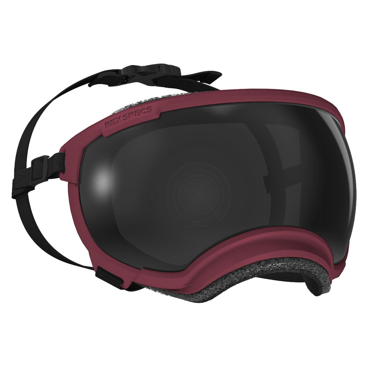 Goggles for Dogs - V2