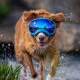 Goggles for Dogs - V2