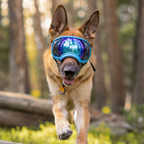 Goggles for Dogs - V2