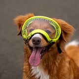 Goggles for Dogs - V2