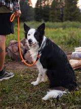 Climber Slip Lead