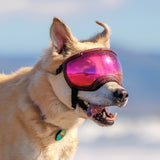 Goggles for Dogs - V2
