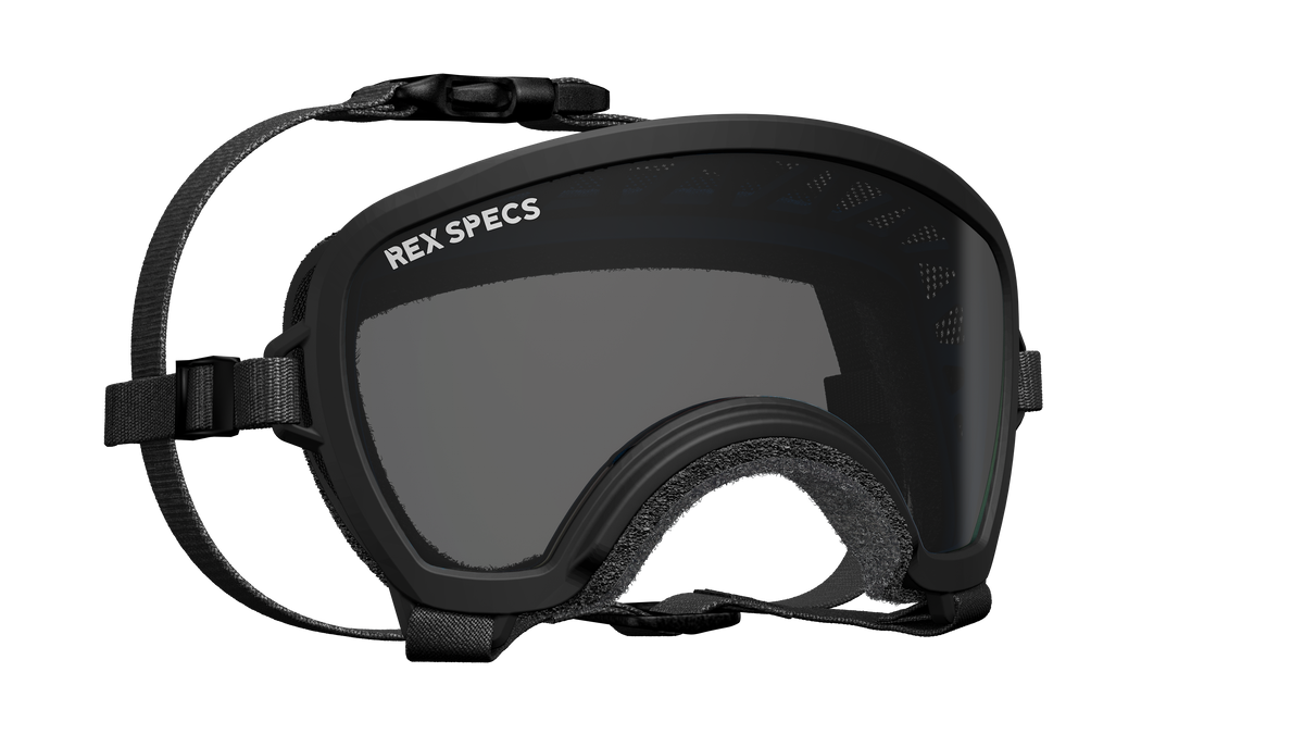 Goggles for Dogs - V2